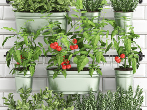 decorative plants for the kitchen on railing 380 Modèle 3D