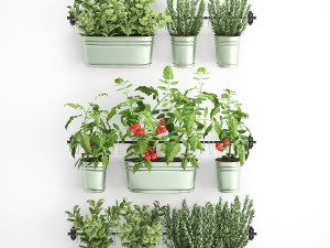decorative plants for the kitchen on railing 380 Modèle 3D