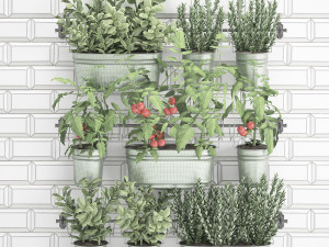 decorative plants for the kitchen on railing 380 Modèle 3D
