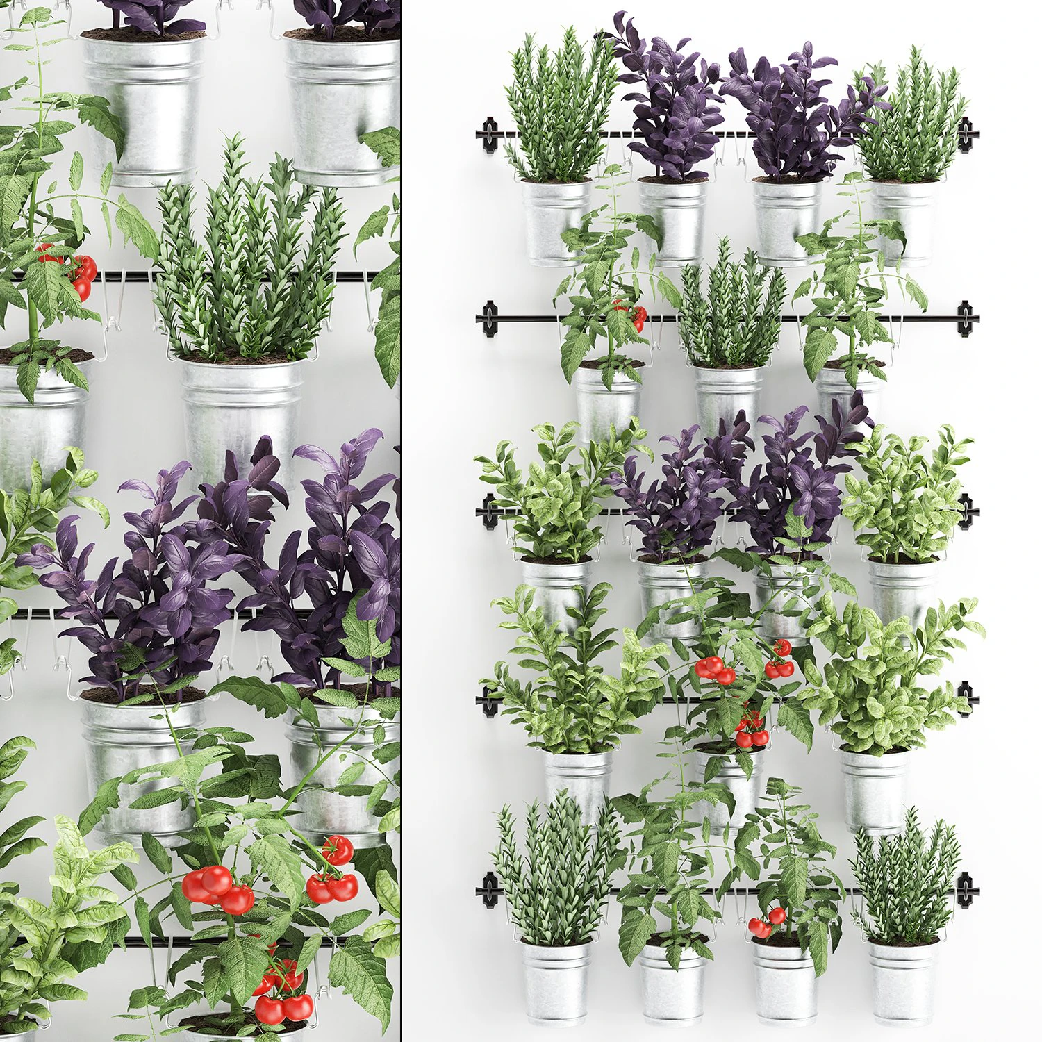 decorative plants for the kitchen on railing 3801 3D Model .c4d .max .obj .3ds .fbx .stl .blend