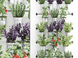 decorative plants for the kitchen on railing 3801 3D Model