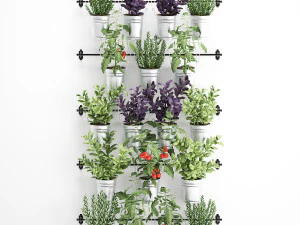 decorative plants for the kitchen on railing 3801 3D Model