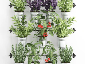 decorative plants for the kitchen on railing 3801 3D Model