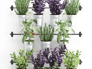 decorative plants for the kitchen on railing 3801 3D Model