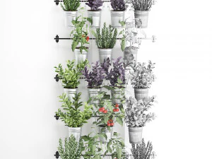 decorative plants for the kitchen on railing 3801 3D Model