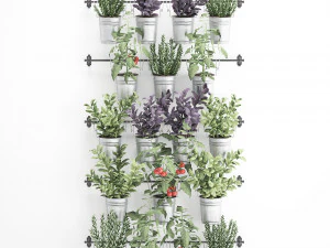 decorative plants for the kitchen on railing 3801 3D Model