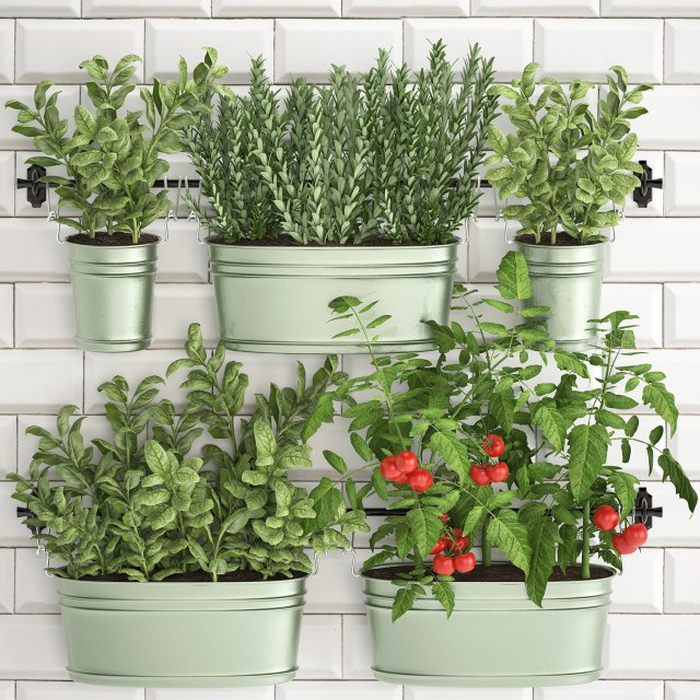 decorative plants for the kitchen on railing 380 2 3D 모델 .c4d .max .obj .3ds .fbx .stl .blend 