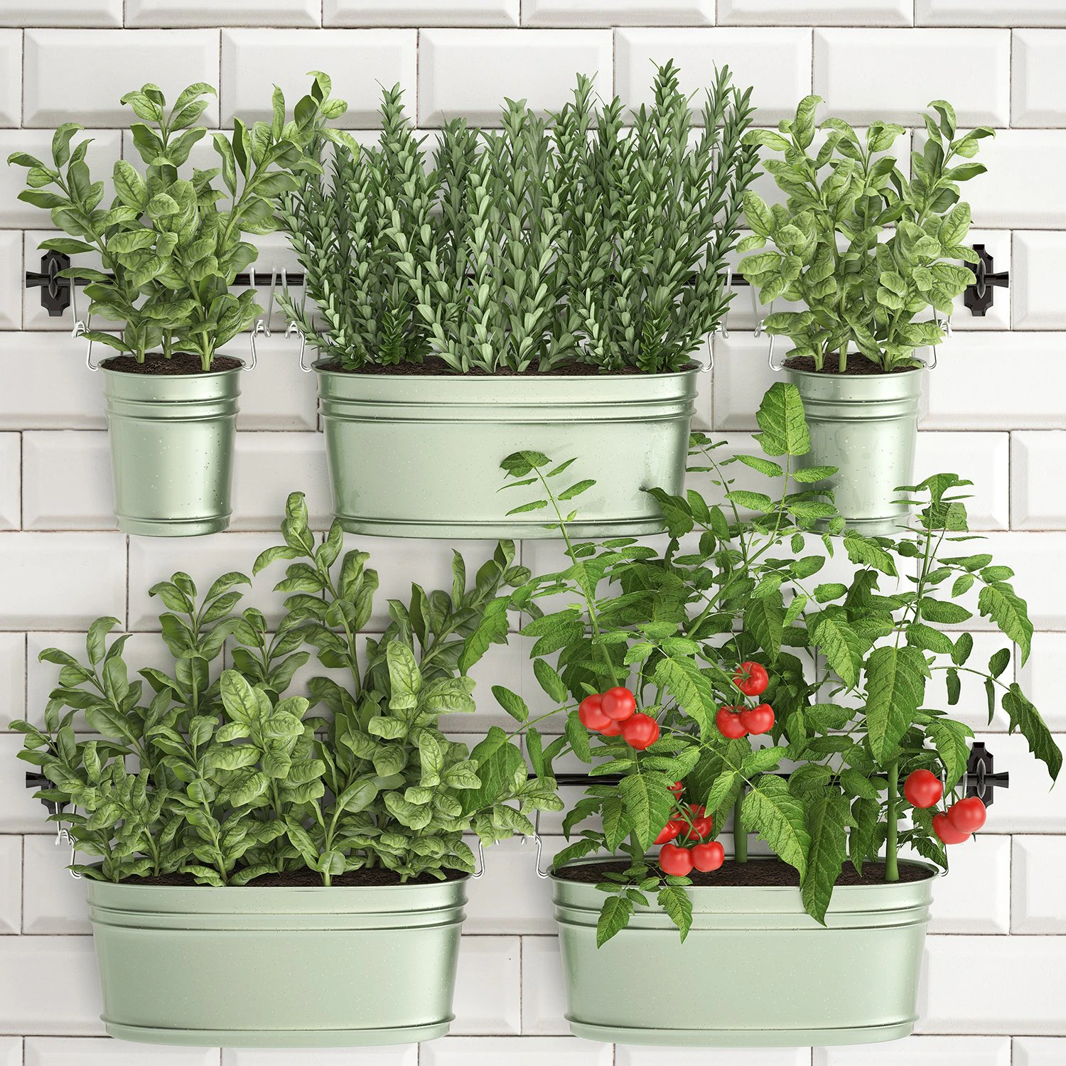 decorative plants for the kitchen on railing 380 2 3D Model .c4d .max .obj .3ds .fbx .stl .blend 