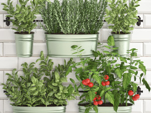 decorative plants for the kitchen on railing 380 2 Modelo 3D