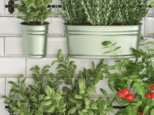 decorative plants for the kitchen on railing 380 2 3D 모델