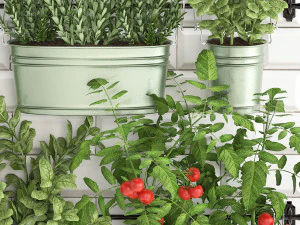 decorative plants for the kitchen on railing 380 2 3D Model