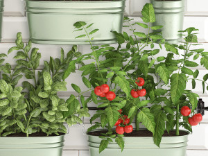 decorative plants for the kitchen on railing 380 2 3D 모델