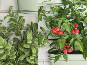 decorative plants for the kitchen on railing 380 2 3D 모델
