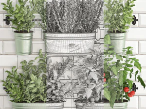 decorative plants for the kitchen on railing 380 2 3D Model