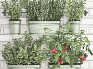 decorative plants for the kitchen on railing 380 2 3D 모델