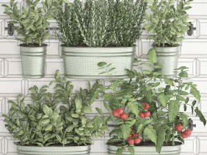 decorative plants for the kitchen on railing 380 2 3D Model