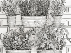 decorative plants for the kitchen on railing 380 2 3D 모델
