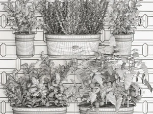 decorative plants for the kitchen on railing 380 2 3D Model