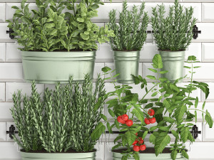 decorative plants for the kitchen on railing 380 3 3D Model