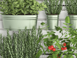 decorative plants for the kitchen on railing 380 3 3Dモデル