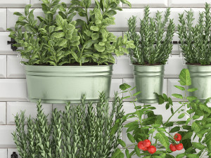 decorative plants for the kitchen on railing 380 3 3Dモデル