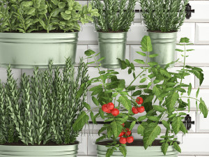 decorative plants for the kitchen on railing 380 3 3Dモデル