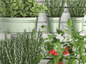 decorative plants for the kitchen on railing 380 3 3Dモデル