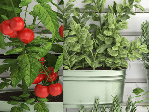 decorative plants for the kitchen on railing 380 3 3Dモデル
