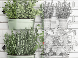 decorative plants for the kitchen on railing 380 3 3Dモデル