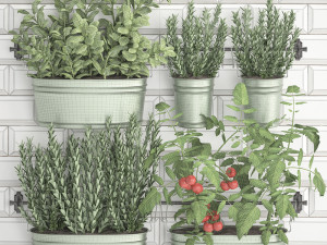 decorative plants for the kitchen on railing 380 3 3Dモデル