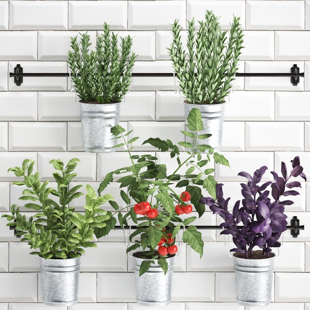 decorative plants for the kitchen on railing 380 4 Model 3D .c4d .max .obj .3ds .fbx .stl .blend 
