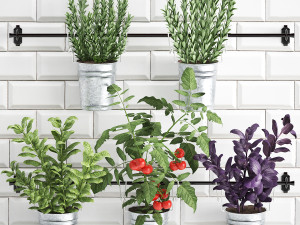 decorative plants for the kitchen on railing 380 4 3D 모델