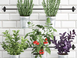 रेलिंग 380 4 पर रसोई के लिए सजावटी पौधे 3D मॉडल