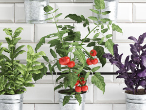 decorative plants for the kitchen on railing 380 4 Model 3D