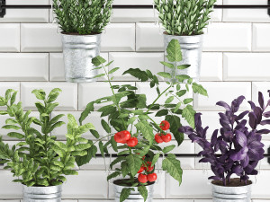 decorative plants for the kitchen on railing 380 4 Model 3D