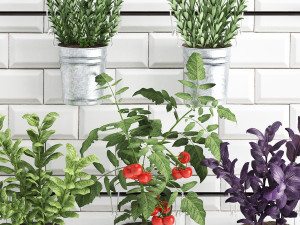 decorative plants for the kitchen on railing 380 4 Model 3D