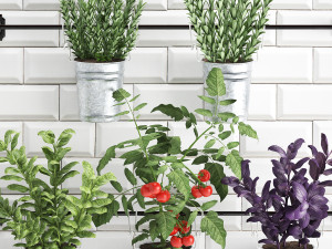 decorative plants for the kitchen on railing 380 4 Model 3D