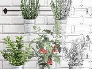 decorative plants for the kitchen on railing 380 4 Model 3D