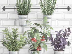 decorative plants for the kitchen on railing 380 4 Model 3D