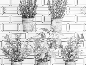 decorative plants for the kitchen on railing 380 4 Model 3D