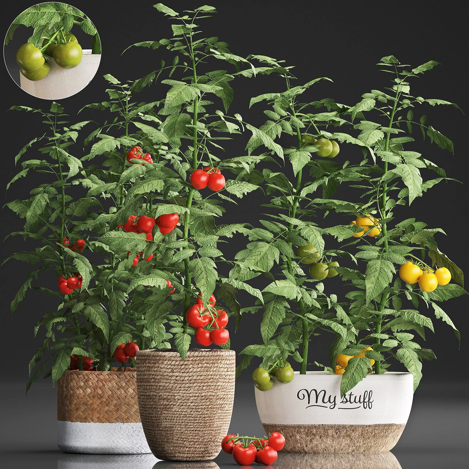 decorative plants for the kitchen 385 tomato 3D Model .c4d .max .obj .3ds .fbx .stl .blend