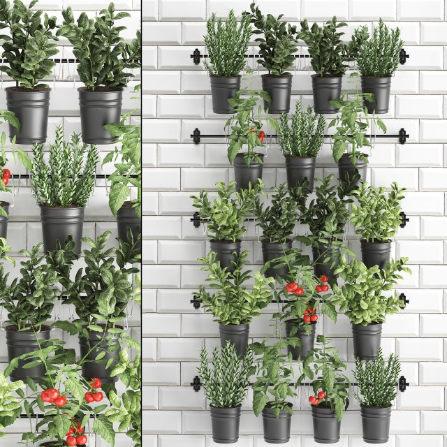 decorative plants for the kitchen on railing 3802 Modelo 3D .c4d .max .obj .3ds .fbx .stl .blend 
