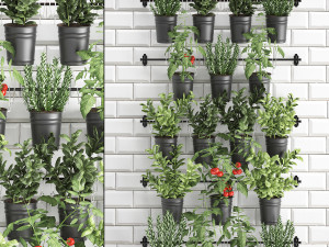 decorative plants for the kitchen on railing 3802 3Dモデル