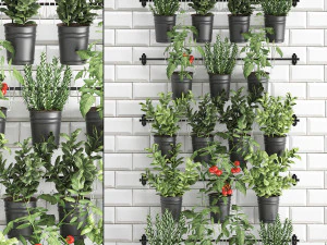plantas decorativas para cozinha em grade 3802 Modelo 3D