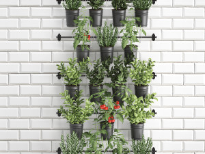 decorative plants for the kitchen on railing 3802 Modelo 3D