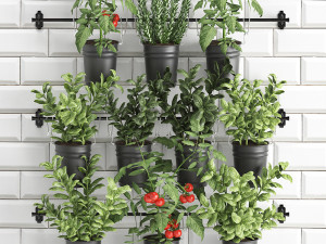 decorative plants for the kitchen on railing 3802 Modelo 3D