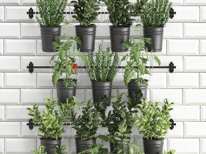 decorative plants for the kitchen on railing 3802 Modelo 3D