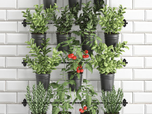decorative plants for the kitchen on railing 3802 Modelo 3D