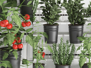 decorative plants for the kitchen on railing 3802 Modelo 3D