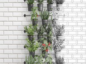 decorative plants for the kitchen on railing 3802 Modelo 3D